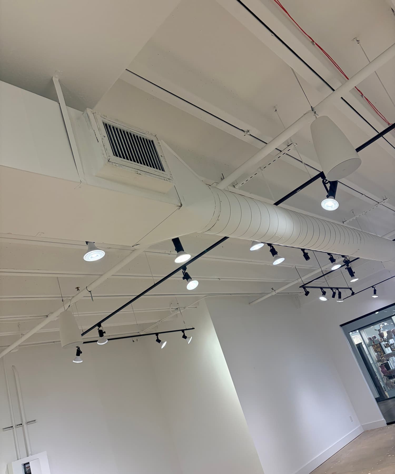 Pendant Speaker and Track Lighting